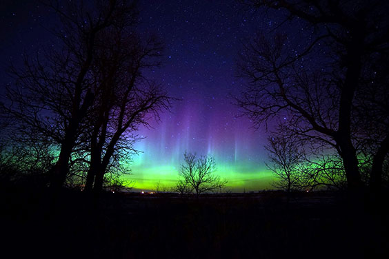 Silhouettes of trees frame the outside of this night shot. Streaks of bright green, blue, and purple can be seen in the lower part of the sky from the northern lights. Many stars can also be seen in the sky.