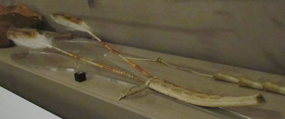 An ice glider on exhibit
