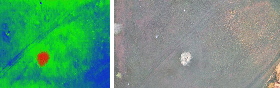 Two similar images of a dot in the ground sit next to each other. The left image has been colorized to make the dot red and the areas around it bright green and blue. The second image has the dot as white with greenish gray around it.
