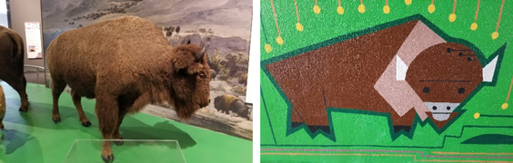On the let is a taxidermied bison, and on the right is a painted image that was inspired from the image on the left.