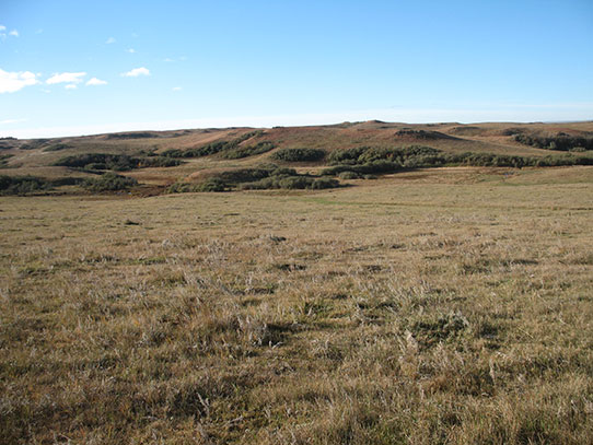 Pasture view south