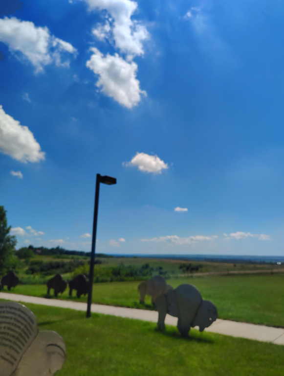 ND Skies