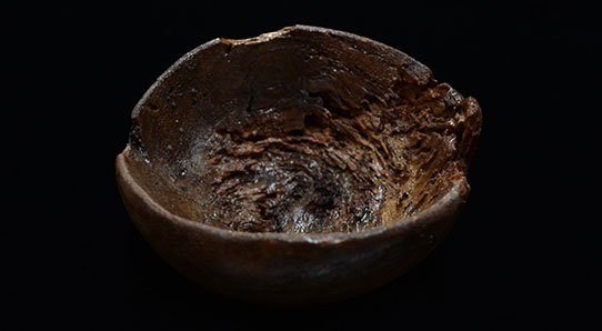 Burl wood bowl