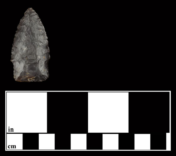 A dark brown projectile point that looks quite short