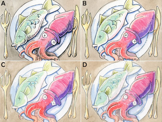 Four storyboard drawings showing the progression of finalizing a drawing from less detailed to finished piece. The drawing is of a white plate with a light green colored fish and a pink and purple squid on it and gold silverware around the plate.