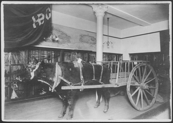 An exhibit display with ox pulling a wooden cart