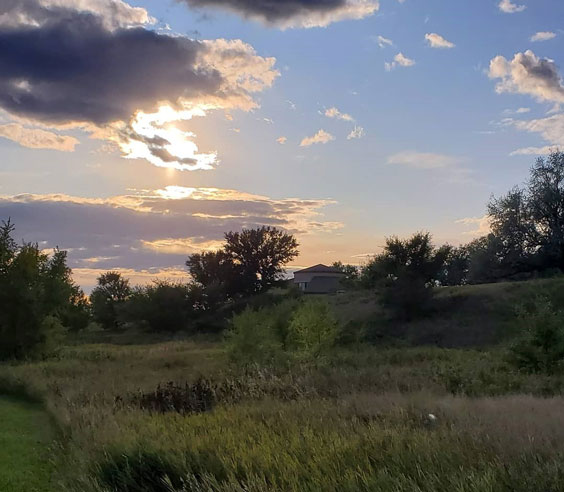 Outdoor scene as the sun is going down. There are dark clouds in the blue sky and long grass in the foreground. A distant view of a building is hidden among trees.