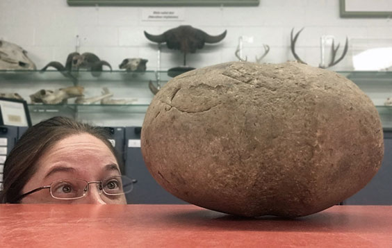 A woman wearing glasses peeks above an orange table at a large rock