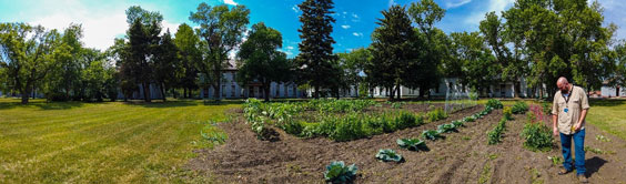 A man stands next to a garden with many trees in the background