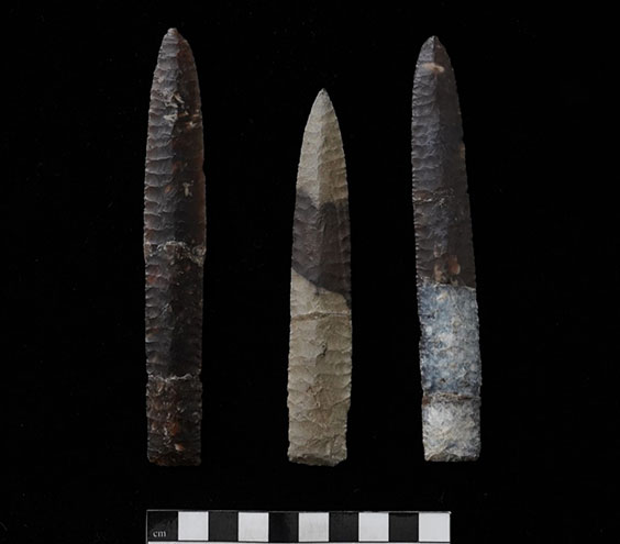 Three long projectile points lay next to each other. The one on the left is brown and is the longest. The one in the middle is tan with a brown patch in the middle and is the shortest. The one on the right is brown at the top and gray and tan at the bottom.