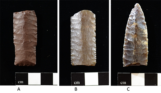Three broken projectile points. The left one is brown. The middle one is dark tan. The right ones a shade in between the other two.