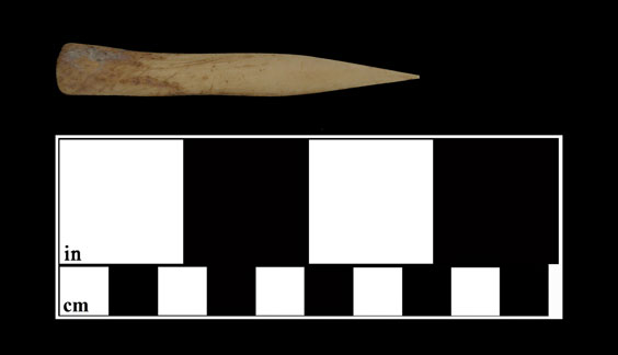 A piece of bone with one end sharpened to a point