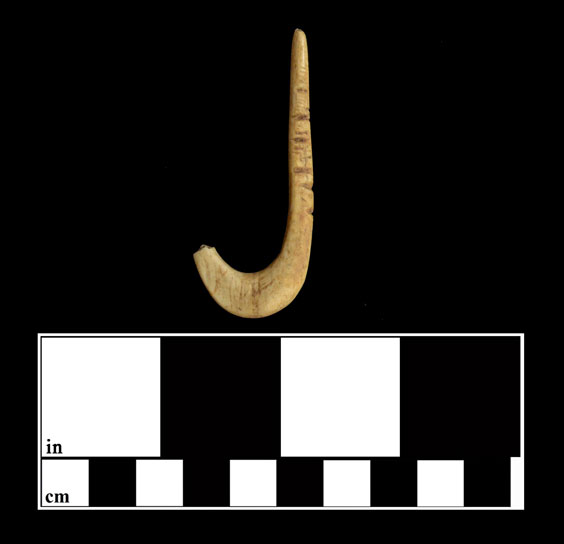 A piece of bone that has been carved into a fishhook