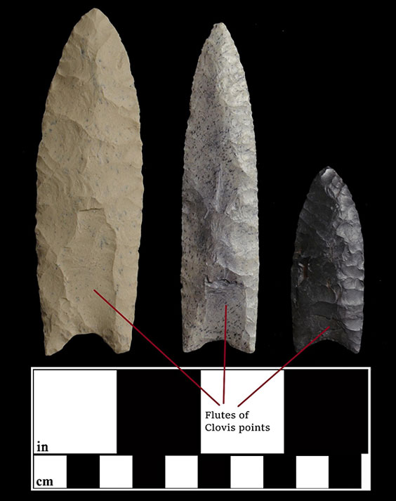 2 Types of spears in the Thomson collection, morphological/ functional