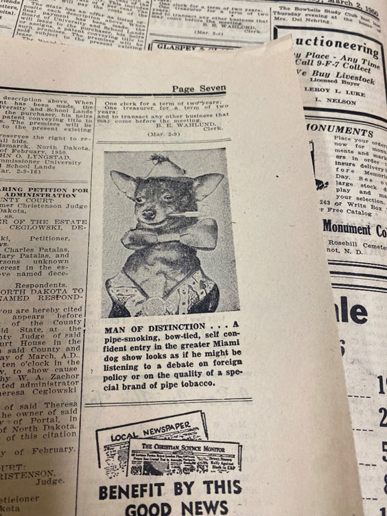 Newspaper clipping showing a dog wearing a hat and bowtie while it smokes a pipe. The caption reads Man of Distinction...A pipe-smoking, bow-tied, self confident entry in the greater Miami dog show looks as if he might be listening to a debate on foreign policy or on the quality of a special brand of pipe tobacco.