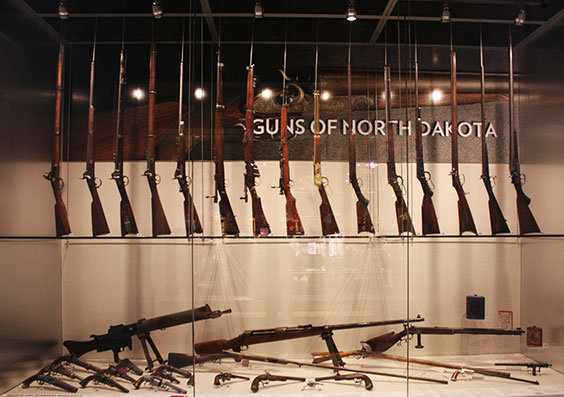 Case displaying many guns