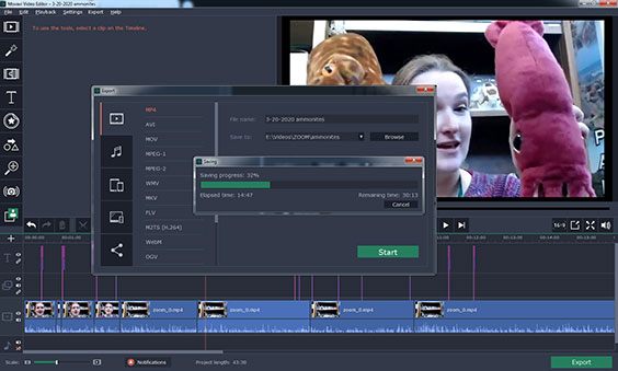 Screenshot of editing software
