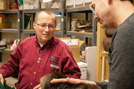 Museum staff with fur collection piece