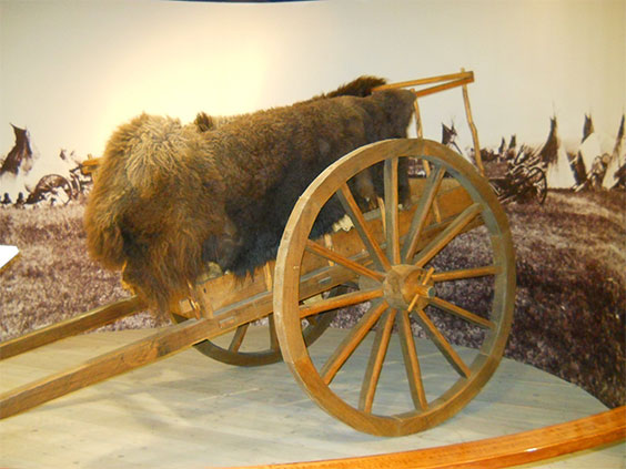 Ox cart