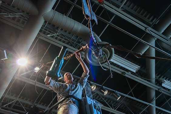 Man cleaning dinosaur skeleton with an air blower