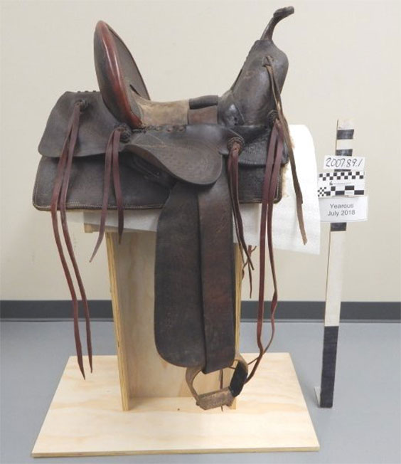 saddle