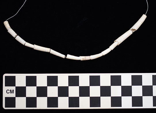 Dentalium shell beads