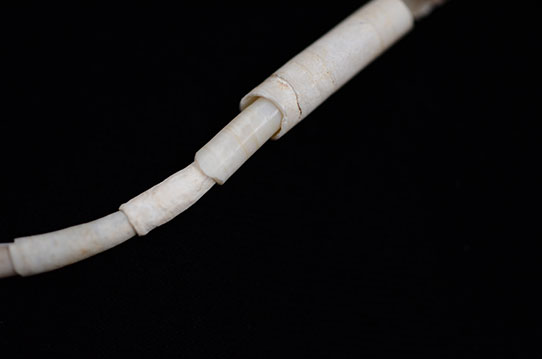 Dentalium shell beads