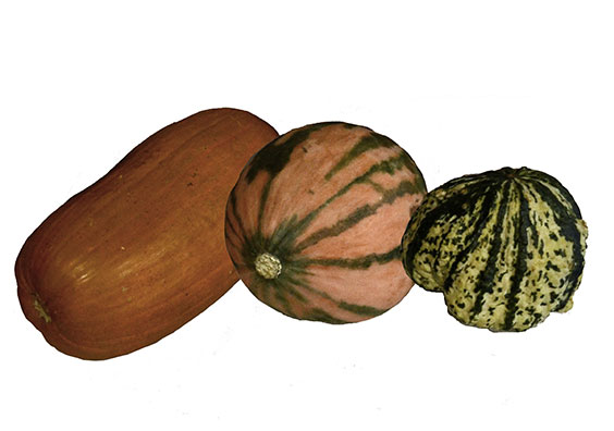 three pieces of yellow squash