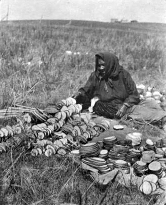 Native american woman harvesting squash - photo 2