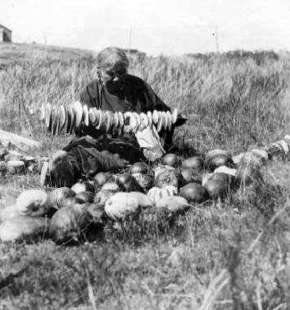 native american woman stringing sliced squash