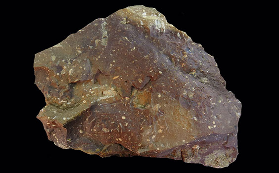 Antelope chert