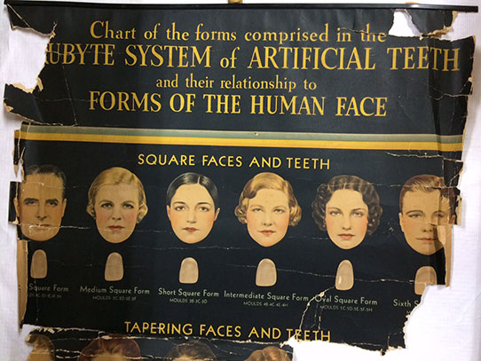 Dental chart