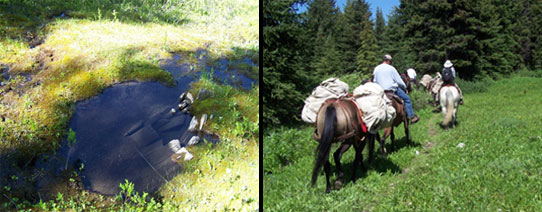 Remains of barrel feature and archaeological survey on horseback