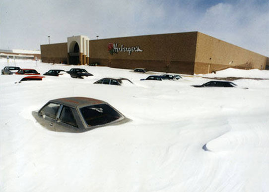 Cars covered in snow up to their windows.