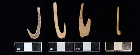 Bone fish hooks and fragments