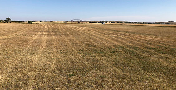 A field of mowed grass