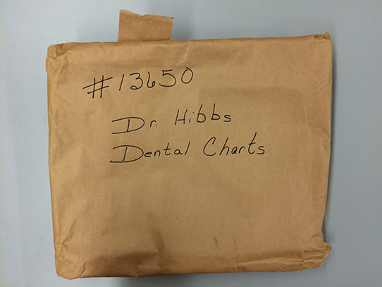 Bag of dental records