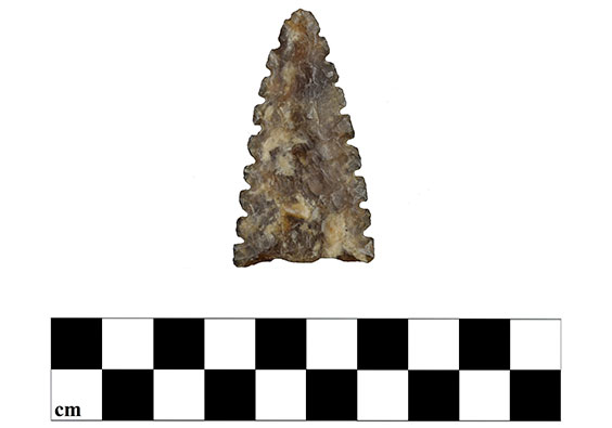 projectile point with notched edges