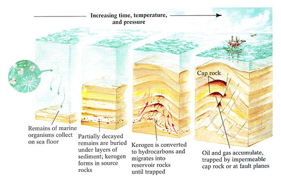 Graphic depicting how oil is formed