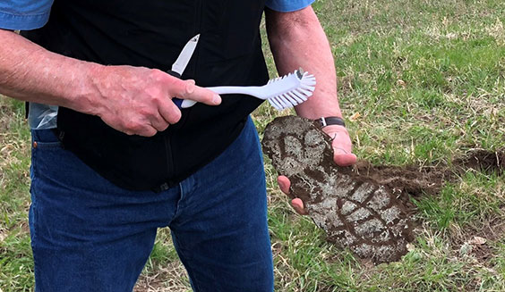 Plaster cast of footprint