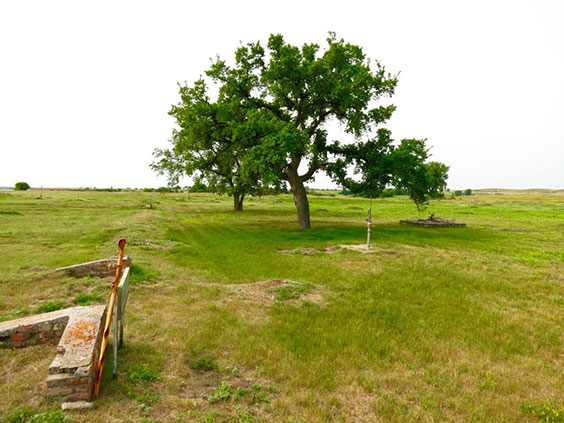 Tree and remnants of corner markers of office at Fort Rice State Hstoric Site