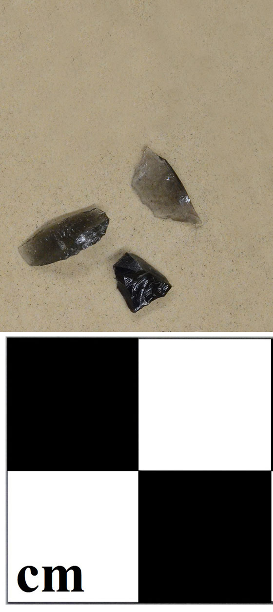 chipped stone flakes