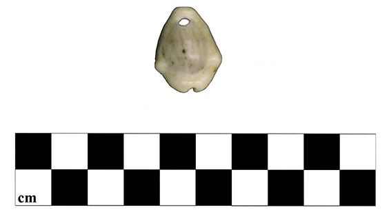 money cowrie shell pendant