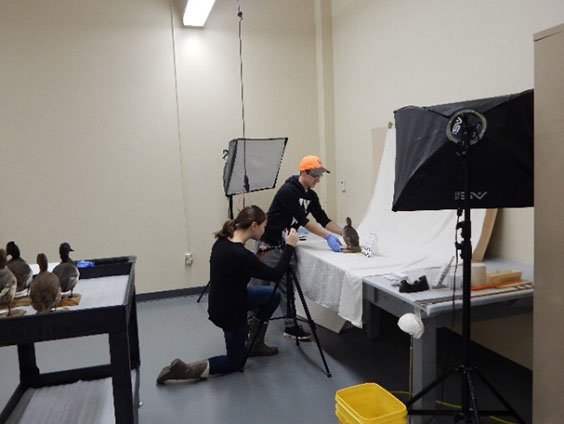 two students photographing a duck