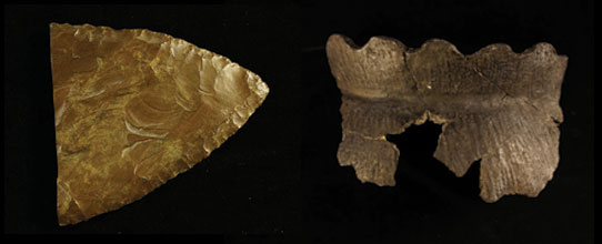 Ultrathin biface and pottery rim
