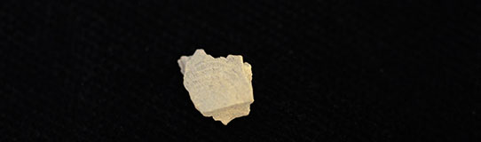 Pottery fragment