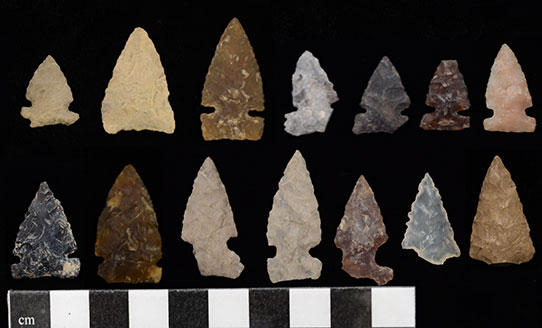 Projectile points